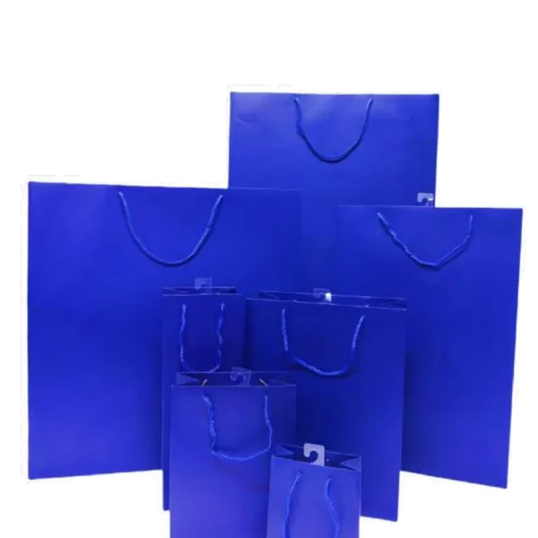 Sacchetto tinta unita blu