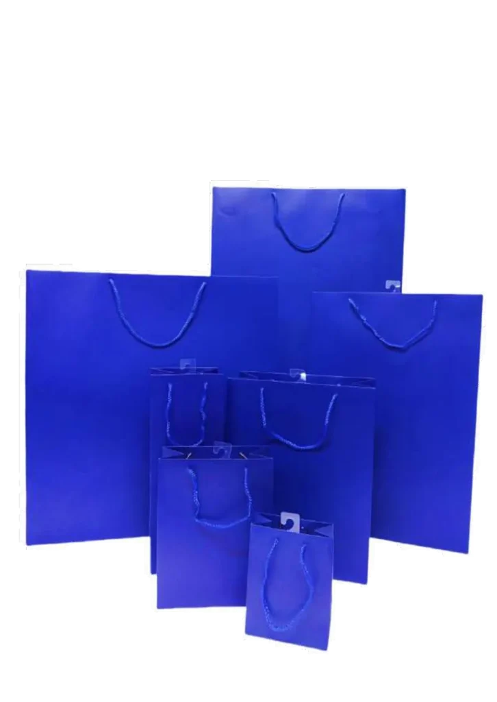 Sacchetto tinta unita blu