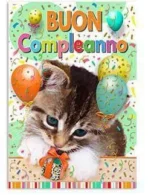 Biglietto Compleanno Gattino