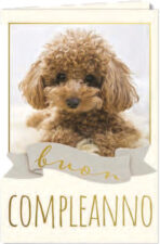 Buon Compleanno Cagnolino - immagine 2