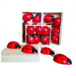 MAGNETI COCCINELLA