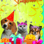 BIGLIETTO BUON COMPLEANNO ANIMALI HUMOR