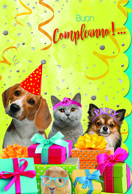 FA00165BC_B BIGLIETTO BUON COMPLEANNO ANIMALI HUMOR - immagine 1
